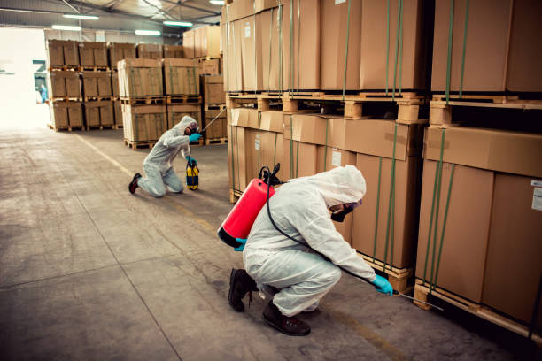 Best Pest Inspection Near Me  in Alton, TX