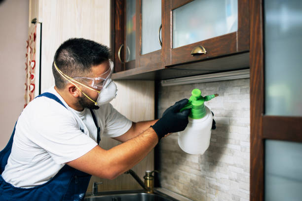 Best Mosquito Control Services  in Alton, TX
