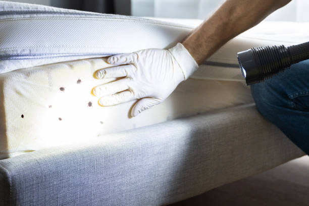  Alton, TX Pest Control Pros
