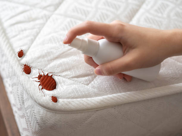 Best Commercial Pest Control Services  in Alton, TX