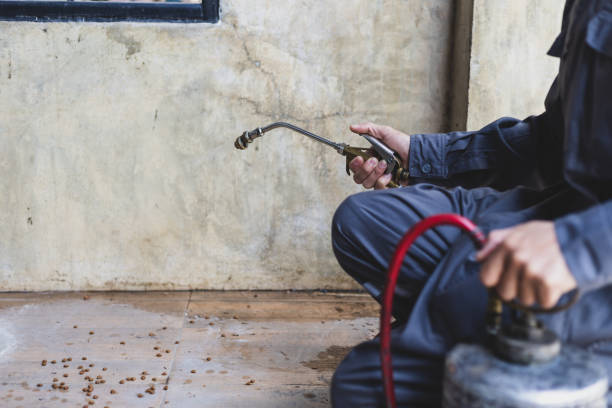 Best Exterminator Services  in Alton, TX